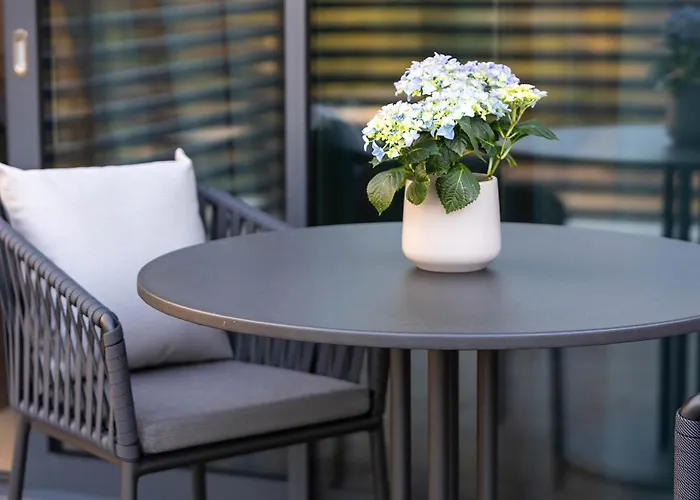 Ca' Apollonio Heritage Romano D'Ezzelino