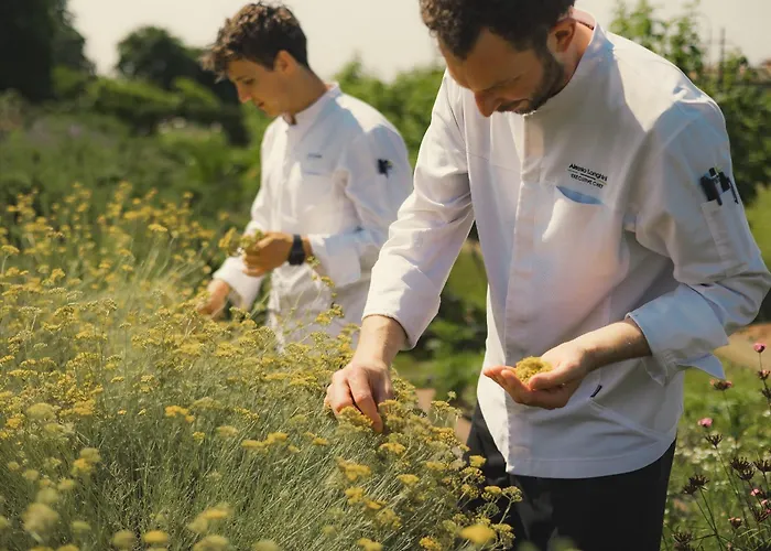 Hotel Ca' Apollonio Heritage