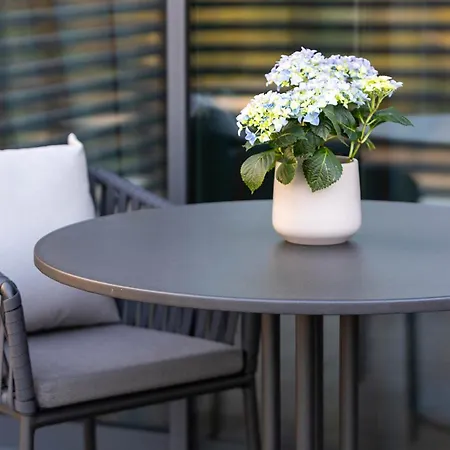 Ca' Apollonio Heritage Romano D'Ezzelino